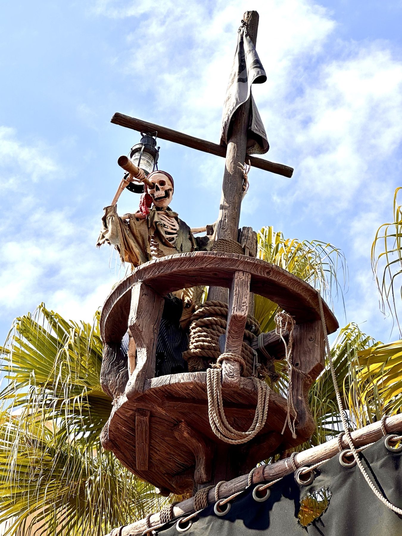 A photograph from our Orlando holiday